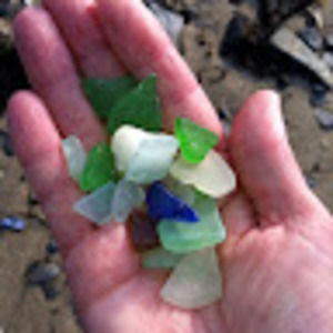 Meet your Posher, Heidi